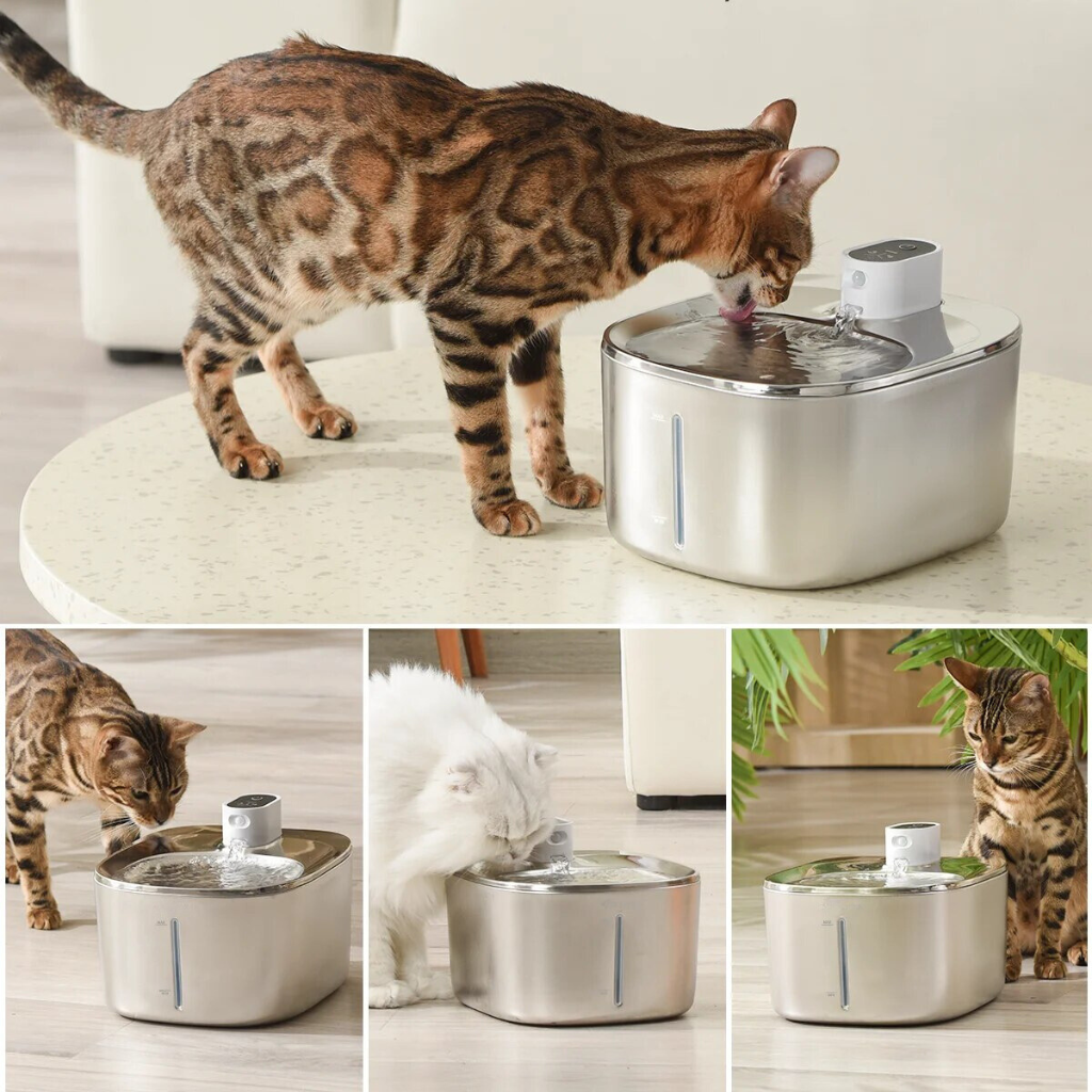 Cat Drinking Fountain - Automatic Stainless Steel Pet Water Dispenser with Ultra Quiet Pump
