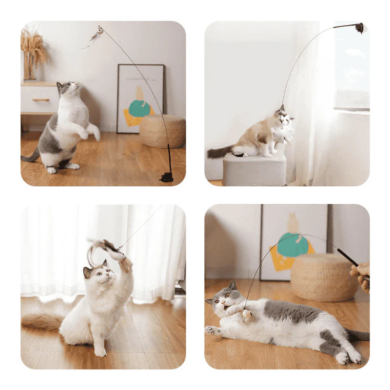 🐱The Hunting Bow - Activates your cat in no time