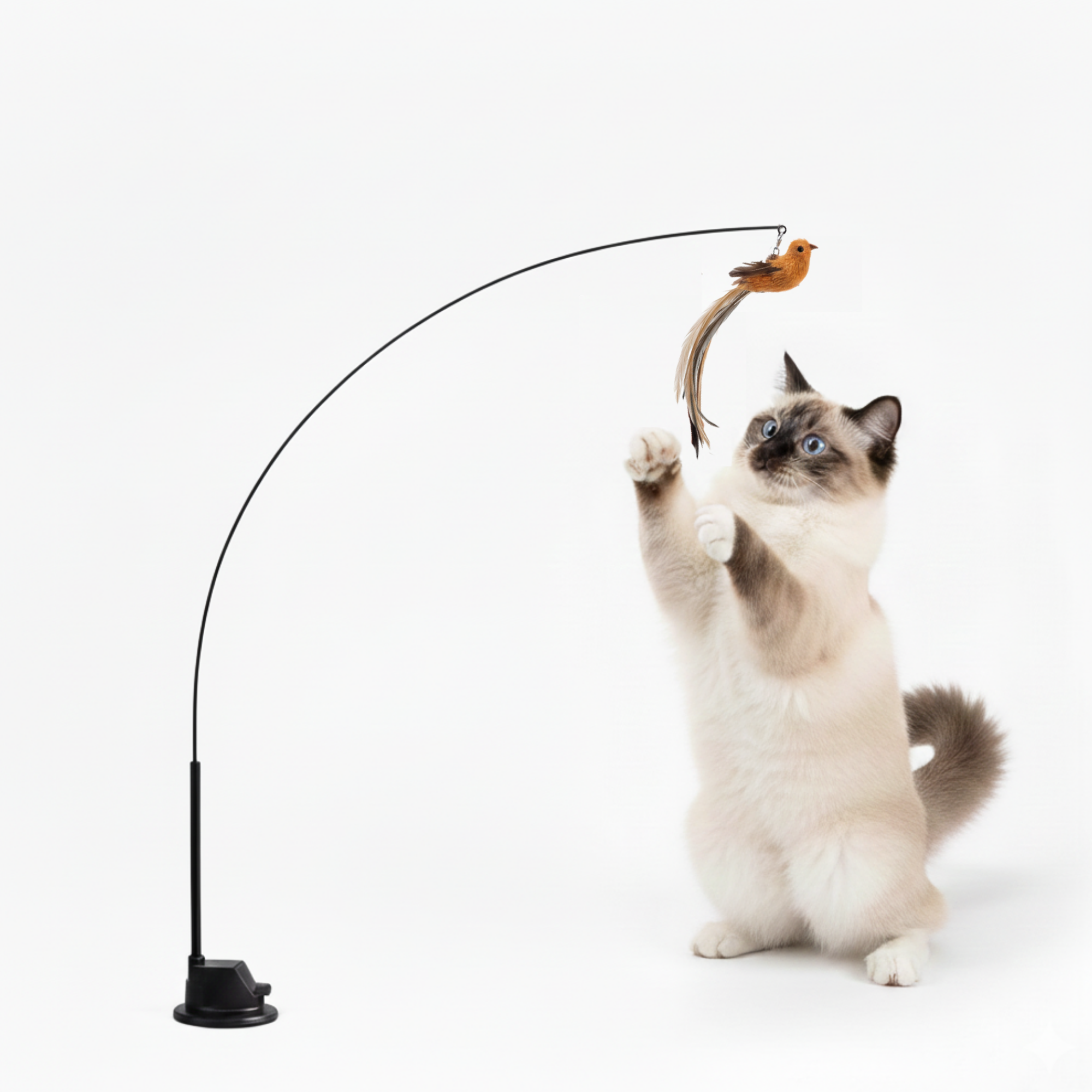 🐱The Hunting Bow - Activates your cat in no time